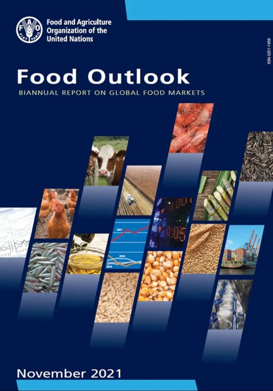 FAO-Food-Outlook-nov21.jpg