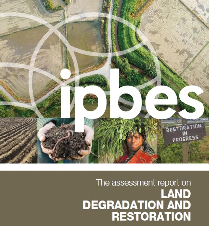 Land-Degradation-and-Restoration.jpg