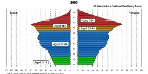 Bevolkingsprojectie Japan 2050 - lang geen piramide meer.jpg