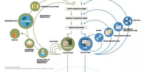 Circulaire-economie_Ellen-MacArthur-Foundation.jpg