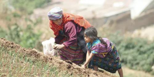 Foto-Guus-Geurts-Guatemala-Maya-vrouw-en-kind-planten-groenten.jpg