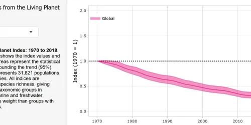 LivingPlanetIndexReport2022.jpg