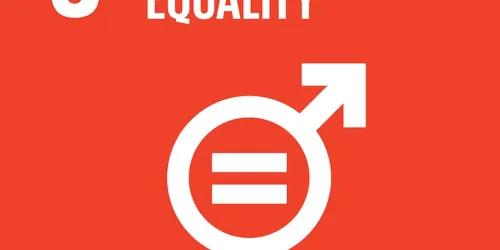 SDG-5-gender-equality.jpg